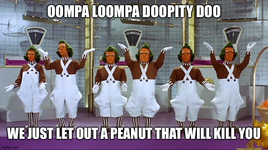 Oompa Loompas | OOMPA LOOMPA DOOPITY DOO WE JUST LET OUT A PEANUT THAT WILL KILL YOU | image tagged in oompa loompas | made w/ Imgflip meme maker