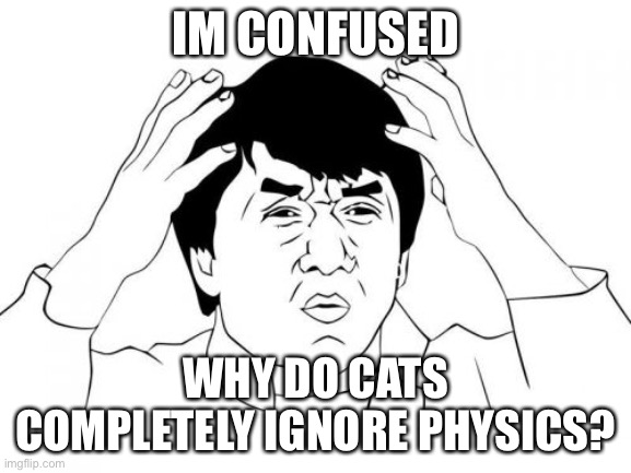 Jackie Chan WTF |  IM CONFUSED; WHY DO CATS COMPLETELY IGNORE PHYSICS? | image tagged in memes,jackie chan wtf,is | made w/ Imgflip meme maker