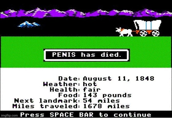 You died of dysentery! | image tagged in dysentery fail | made w/ Imgflip meme maker