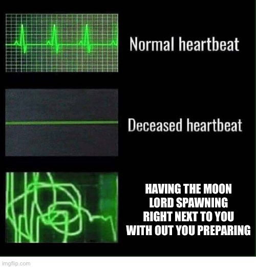 Terraria rules | HAVING THE MOON LORD SPAWNING RIGHT NEXT TO YOU WITH OUT YOU PREPARING | image tagged in normal heartbeat deceased heartbeat,terraria | made w/ Imgflip meme maker
