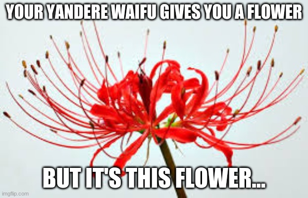 I love Valentine's Day! Wait, wha- | YOUR YANDERE WAIFU GIVES YOU A FLOWER; BUT IT'S THIS FLOWER... | image tagged in anime,cultured,intellectual,waifu | made w/ Imgflip meme maker