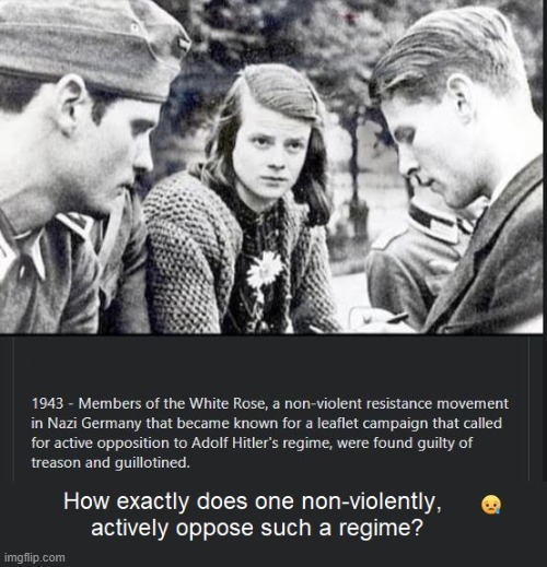 White Rose | image tagged in resistence,nazis,tyranny | made w/ Imgflip meme maker
