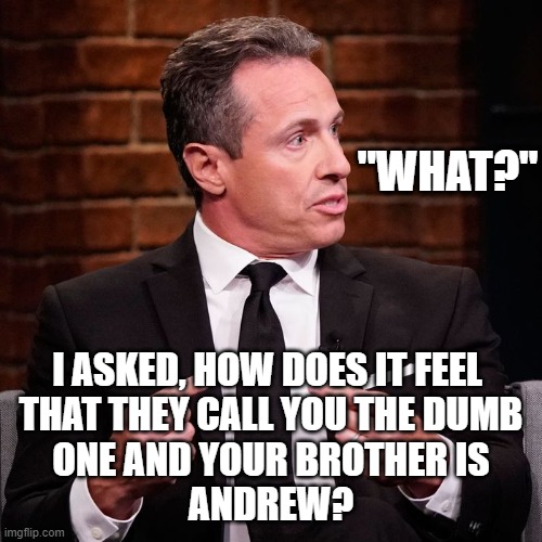 Dumb Cuomo | "WHAT?"; I ASKED, HOW DOES IT FEEL 
THAT THEY CALL YOU THE DUMB
ONE AND YOUR BROTHER IS
ANDREW? | image tagged in cuomo,i'm the dumbest man alive,fredo,politics | made w/ Imgflip meme maker