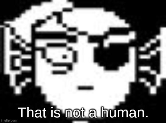 Undyne | That is not a human. | image tagged in undyne | made w/ Imgflip meme maker