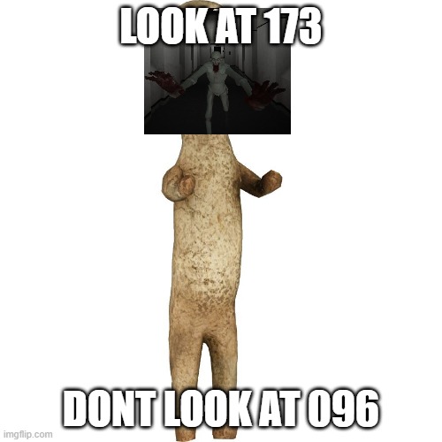 XD | LOOK AT 173; DONT LOOK AT 096 | image tagged in scp 173,scp 096 | made w/ Imgflip meme maker