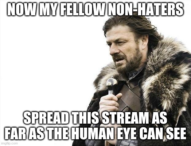 SPREAD THE MESSAGE!!! | NOW MY FELLOW NON-HATERS; SPREAD THIS STREAM AS FAR AS THE HUMAN EYE CAN SEE | image tagged in memes,brace yourselves x is coming | made w/ Imgflip meme maker
