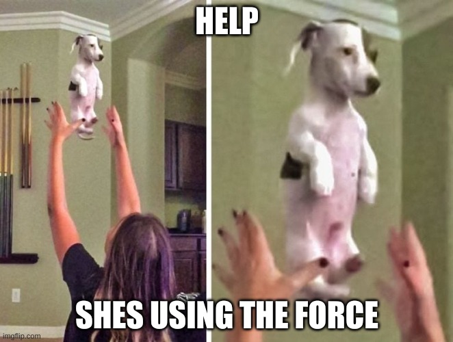 Never again puppy |  HELP; SHES USING THE FORCE | image tagged in never again puppy | made w/ Imgflip meme maker