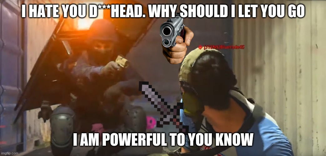 NO | I HATE YOU D***HEAD. WHY SHOULD I LET YOU GO; I AM POWERFUL TO YOU KNOW | image tagged in call of duty takedown | made w/ Imgflip meme maker