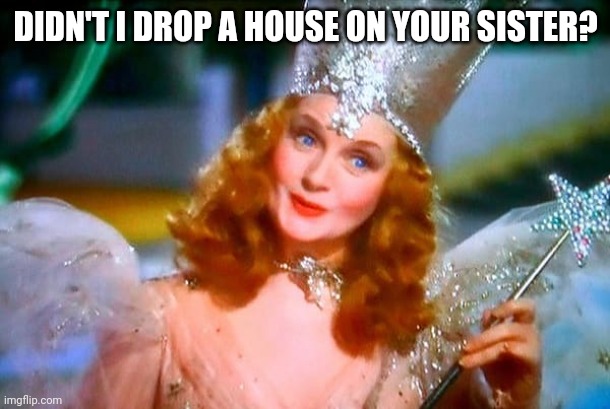 Comeback house | DIDN'T I DROP A HOUSE ON YOUR SISTER? | image tagged in glinda the good witch | made w/ Imgflip meme maker