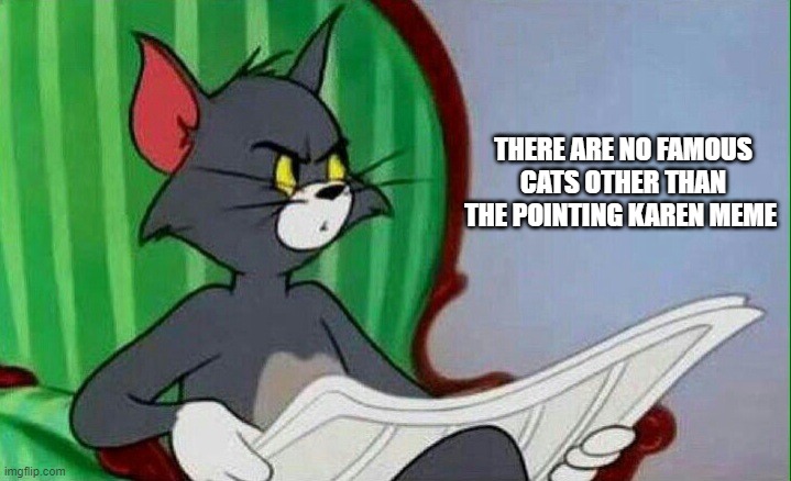 Tom and Jerry | THERE ARE NO FAMOUS CATS OTHER THAN THE POINTING KAREN MEME | image tagged in tom and jerry | made w/ Imgflip meme maker