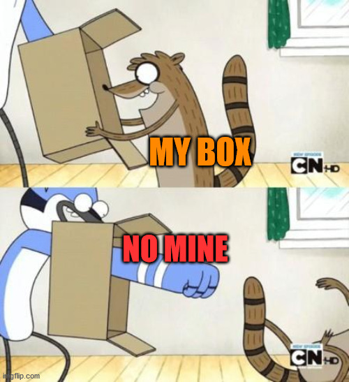 Mordecai Punches Rigby Through a Box | NO MINE MY BOX | image tagged in mordecai punches rigby through a box | made w/ Imgflip meme maker