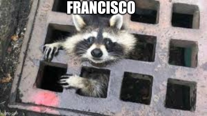 Francisco | FRANCISCO | image tagged in juan,fransisco,funny memes,memes,dank memes | made w/ Imgflip meme maker
