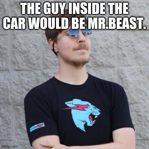 Mr. Beast | THE GUY INSIDE THE CAR WOULD BE MR.BEAST. | image tagged in mr beast | made w/ Imgflip meme maker