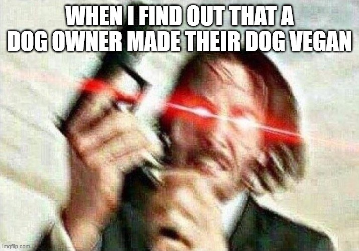 Do that and you face me coming out with an minigun out of the trunk | WHEN I FIND OUT THAT A DOG OWNER MADE THEIR DOG VEGAN | image tagged in john wick | made w/ Imgflip meme maker