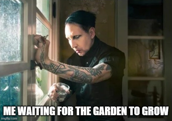 Marilyn Manson waiting | ME WAITING FOR THE GARDEN TO GROW | image tagged in marilyn manson waiting | made w/ Imgflip meme maker