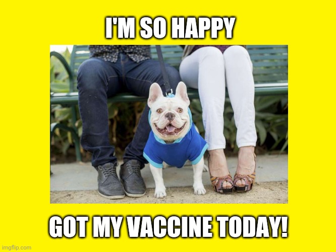 I'm So Happy | I'M SO HAPPY; GOT MY VACCINE TODAY! | image tagged in happy dog,dogs,vaccine,covid | made w/ Imgflip meme maker