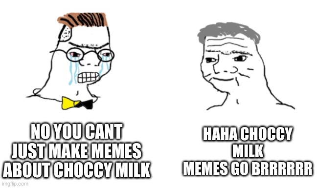 CHOCCY MILK GOOD | NO YOU CANT JUST MAKE MEMES ABOUT CHOCCY MILK; HAHA CHOCCY MILK MEMES GO BRRRRRR | image tagged in noooo you can't just | made w/ Imgflip meme maker
