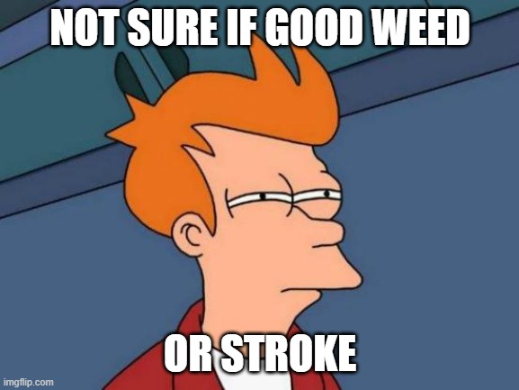 Good Weed or Stroke | NOT SURE IF GOOD WEED; OR STROKE | image tagged in memes,futurama fry | made w/ Imgflip meme maker