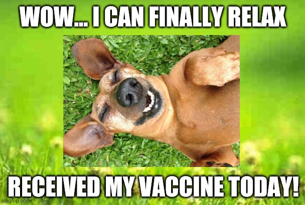 Happy Dog | WOW... I CAN FINALLY RELAX; RECEIVED MY VACCINE TODAY! | image tagged in happy dog,relax,vaccine,covid vaccine,smile,dogs | made w/ Imgflip meme maker