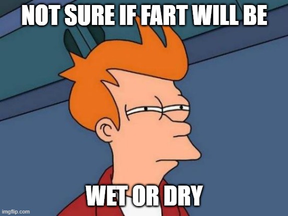 Wet or Dry Fart | NOT SURE IF FART WILL BE; WET OR DRY | image tagged in memes,futurama fry | made w/ Imgflip meme maker