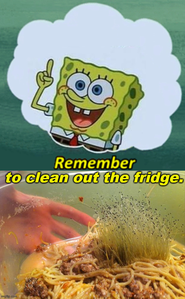 Reminder to clean the fridge of those leftovers you forgot about. | to clean out the fridge. | image tagged in remember,refrigerator,cleaning | made w/ Imgflip meme maker