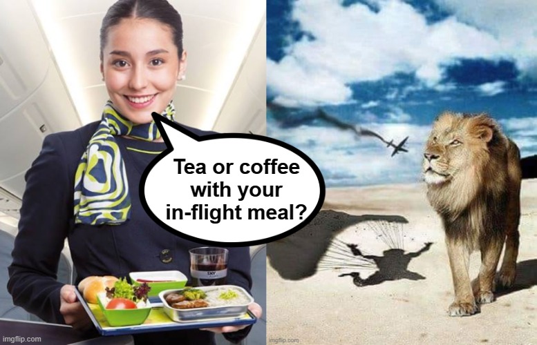 Tea or coffee ? | Tea or coffee
with your
in-flight meal? | image tagged in flight attendant | made w/ Imgflip meme maker