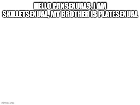 LGBTQ Joke day 8 | HELLO PANSEXUALS, I AM SKILLETSEXUAL, MY BROTHER IS PLATESEXUAL | image tagged in its a joke | made w/ Imgflip meme maker