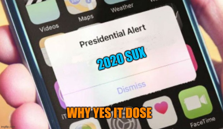 a meme could not be more truthful | 2020 SUX; WHY YES IT DOSE | image tagged in memes,presidential alert | made w/ Imgflip meme maker