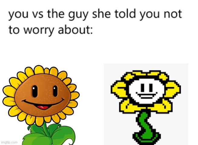 Are plants vs zombies memes still relevant? | image tagged in you vs the guy she told you not to worry about,plants vs zombies,flowey,undertale | made w/ Imgflip meme maker