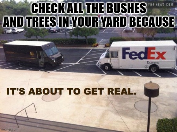 FedEx vs ups |  CHECK ALL THE BUSHES AND TREES IN YOUR YARD BECAUSE | image tagged in fedex vs ups | made w/ Imgflip meme maker