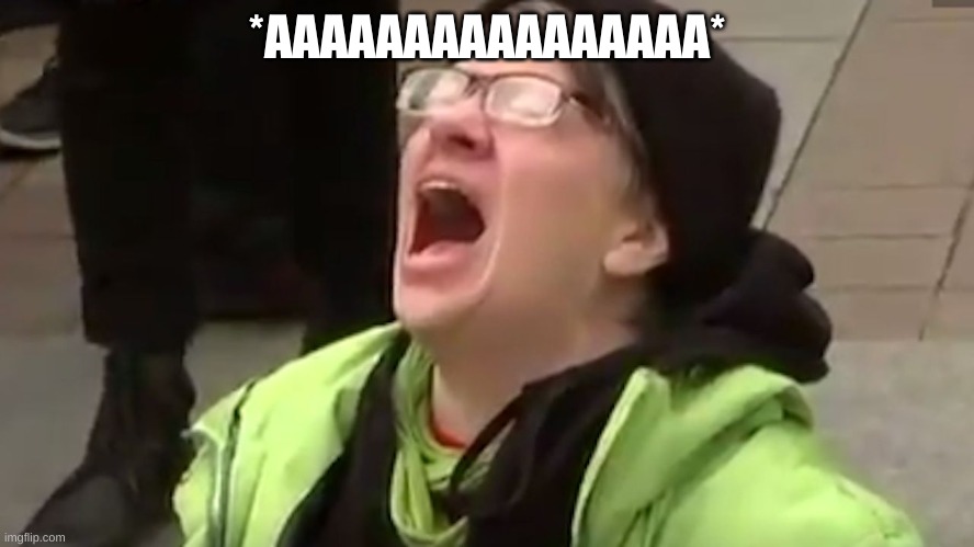 Screaming Liberal  | *AAAAAAAAAAAAAAAA* | image tagged in screaming liberal | made w/ Imgflip meme maker