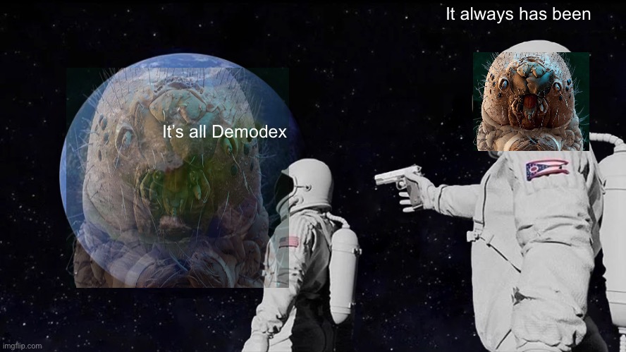 Always Has Been | It always has been; It’s all Demodex | image tagged in memes,always has been | made w/ Imgflip meme maker
