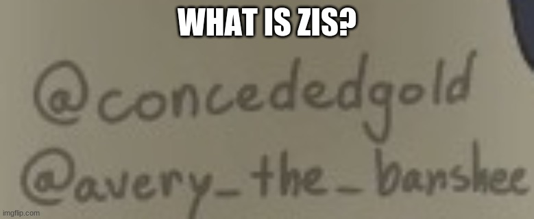 WHAT IS ZIS? | made w/ Imgflip meme maker