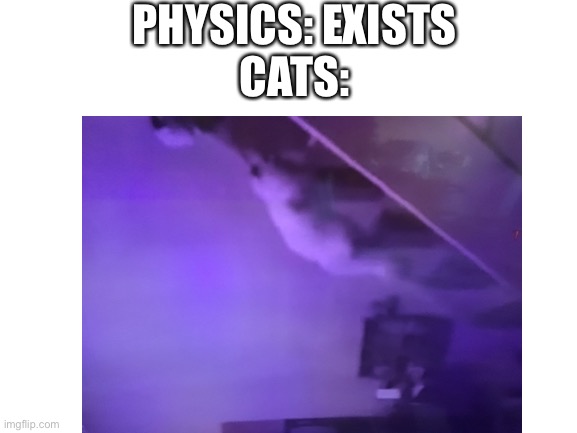 he is upside down but going up | PHYSICS: EXISTS
CATS: | image tagged in physics,cats,wait what | made w/ Imgflip meme maker
