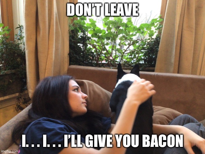 DON’T LEAVE; I. . . I. . . I’LL GIVE YOU BACON | image tagged in dog,bacon,funny | made w/ Imgflip meme maker
