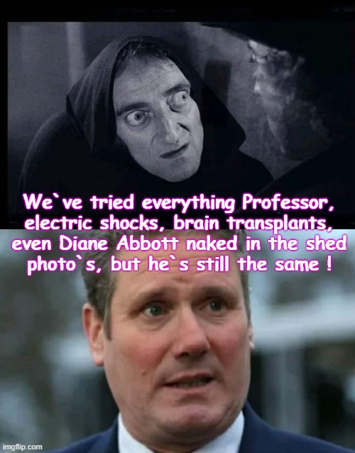 We`ve tried everything Professor ! | We`ve tried everything Professor,
electric shocks, brain transplants,
even Diane Abbott naked in the shed
 photo`s, but he`s still the same ! | image tagged in blank starter pack | made w/ Imgflip meme maker