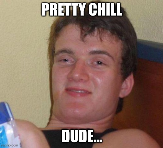 stoned guy | PRETTY CHILL DUDE... | image tagged in stoned guy | made w/ Imgflip meme maker