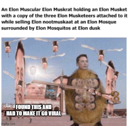 elon musket | FOUND THIS AND HAD TO MAKE IT GO VIRAL | image tagged in funny memes | made w/ Imgflip meme maker