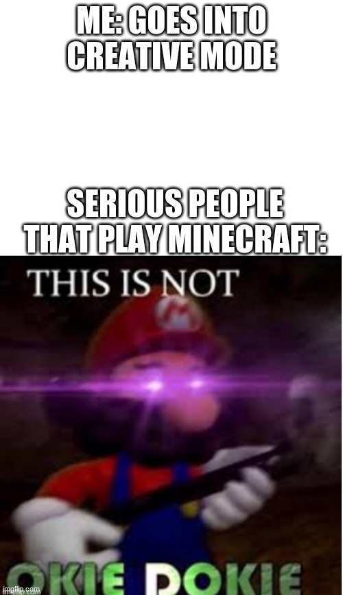 creative | ME: GOES INTO CREATIVE MODE; SERIOUS PEOPLE THAT PLAY MINECRAFT: | image tagged in mario not okie dokie | made w/ Imgflip meme maker