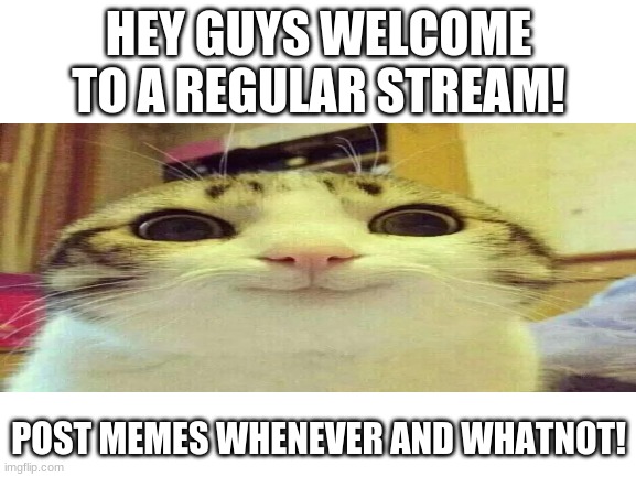 Hello And Welcome! | HEY GUYS WELCOME TO A REGULAR STREAM! POST MEMES WHENEVER AND WHATNOT! | image tagged in well dang that intro was cringe | made w/ Imgflip meme maker