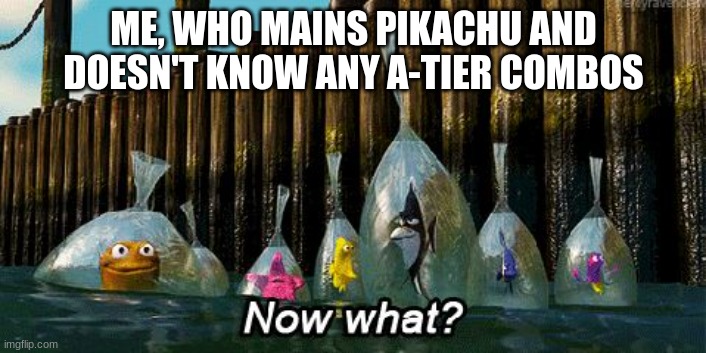 Now What? | ME, WHO MAINS PIKACHU AND DOESN'T KNOW ANY A-TIER COMBOS | image tagged in now what | made w/ Imgflip meme maker