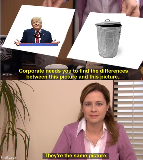 They're The Same Picture Meme | image tagged in memes,they're the same picture | made w/ Imgflip meme maker