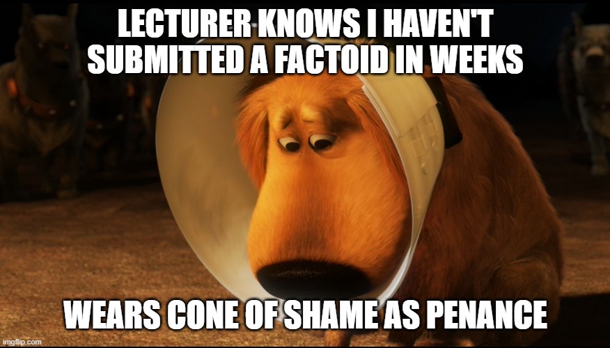 Doug from Up - Cone of Shame | LECTURER KNOWS I HAVEN'T SUBMITTED A FACTOID IN WEEKS; WEARS CONE OF SHAME AS PENANCE | image tagged in doug from up - cone of shame | made w/ Imgflip meme maker