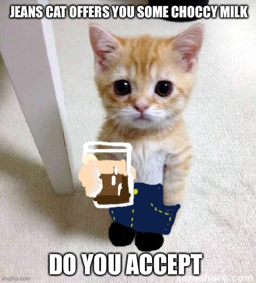 Jeans cat is W̶̡̧̧̨̢̻̪̯͕̞̗͖̰̫͚̜̹̤̮̲͇̱͙̩͈̭͉͈̗̻͖̦̱̗͍̭̣̪̤̮̗͗̎̃̋͘͝h̶̡̡̢̡̡̖̼̥̦͓̥̻͍͔͇̥̲͈̫̪͍̝̻͈̖͓͎̪̳̦̬̜̣̄̊͑͆̈͌ơ̸͑̂̋̿̽̒̅̎̈́̊̑͂̄͛̊͐̑́̍̚͝͠ | JEANS CAT OFFERS YOU SOME CHOCCY MILK; DO YOU ACCEPT | image tagged in memes,cute cat,funny memes | made w/ Imgflip meme maker