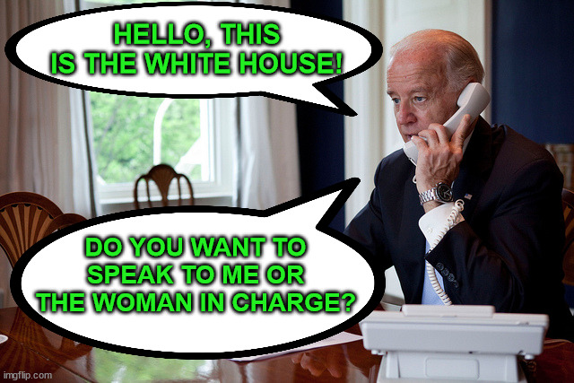 Biden Answers the Phone | HELLO, THIS IS THE WHITE HOUSE! DO YOU WANT TO SPEAK TO ME OR THE WOMAN IN CHARGE? | image tagged in memes,joe biden,kamala harris,phone call,are you really in charge here,first world problems | made w/ Imgflip meme maker