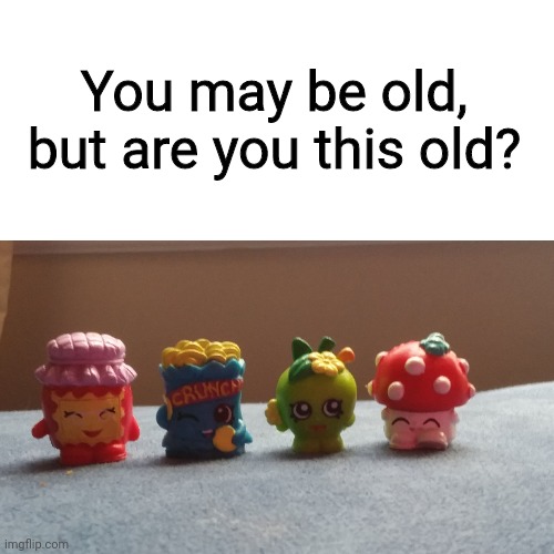 Season 1 shopkins | You may be old, but are you this old? | image tagged in shopkins,you may be old but are you this old,old,season 2,season 1,nostalgia | made w/ Imgflip meme maker