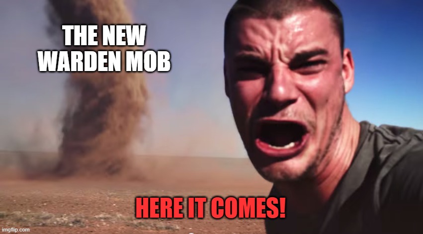 Here it comes | THE NEW WARDEN MOB HERE IT COMES! | image tagged in here it comes | made w/ Imgflip meme maker