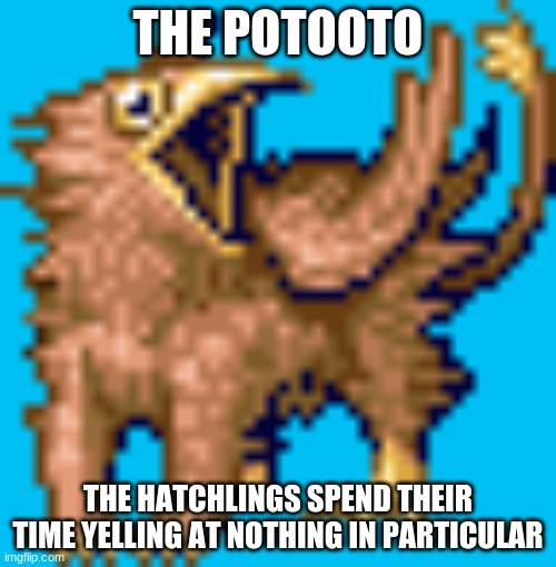 have you guys heard of magistream? | THE POTOOTO; THE HATCHLINGS SPEND THEIR TIME YELLING AT NOTHING IN PARTICULAR | image tagged in gaming | made w/ Imgflip meme maker