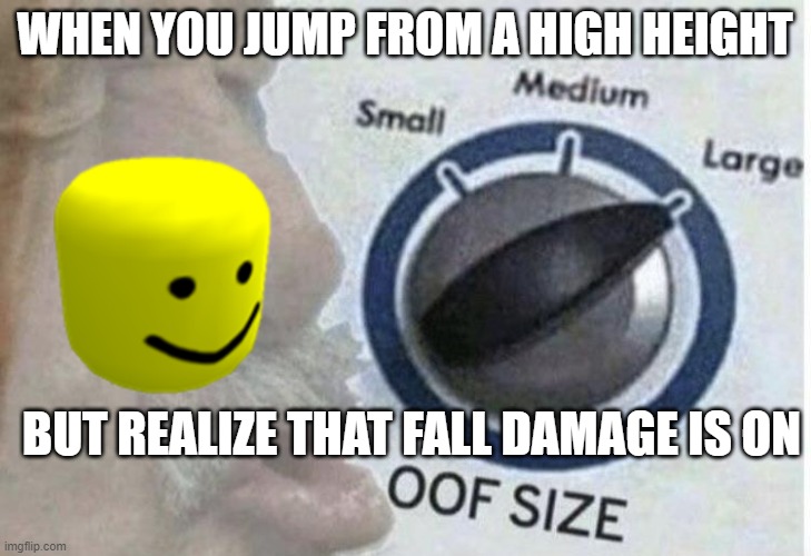 dont try this at home | WHEN YOU JUMP FROM A HIGH HEIGHT; BUT REALIZE THAT FALL DAMAGE IS ON | image tagged in oof size large,memes | made w/ Imgflip meme maker