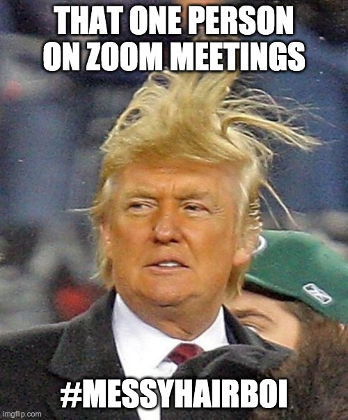 Donald Trumph hair | THAT ONE PERSON ON ZOOM MEETINGS; #MESSYHAIRBOI | image tagged in donald trumph hair | made w/ Imgflip meme maker